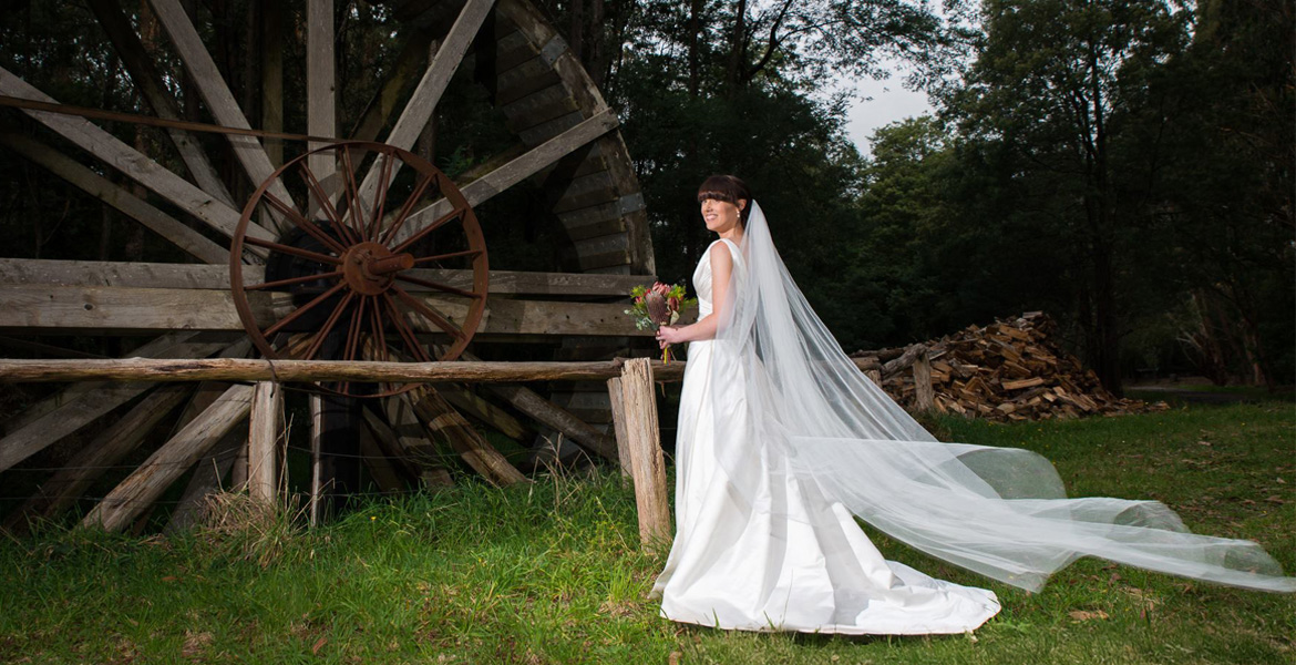 Wedding Photo 5